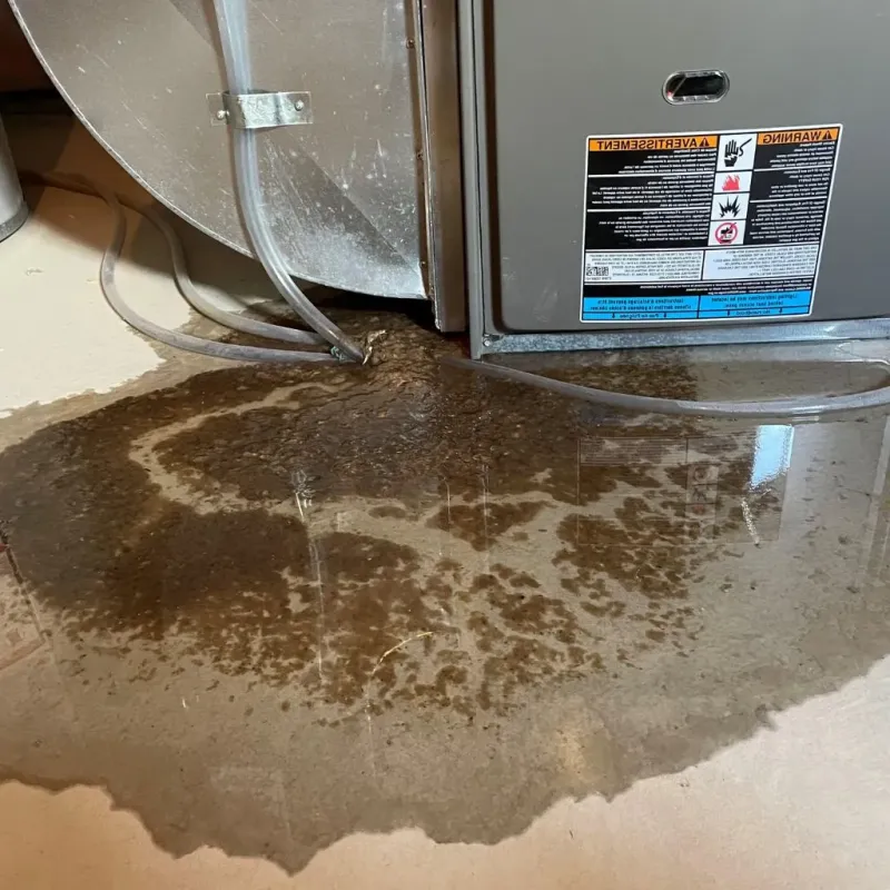 Pipe Burst and Leak Restoration in Rutherford County, NC